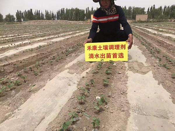 使用禾康改良盐碱地亩用量是多少？需不需要测土？