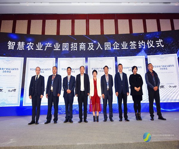 盐碱地改良技术应用-公司应邀参加2019年青岛海水稻会议