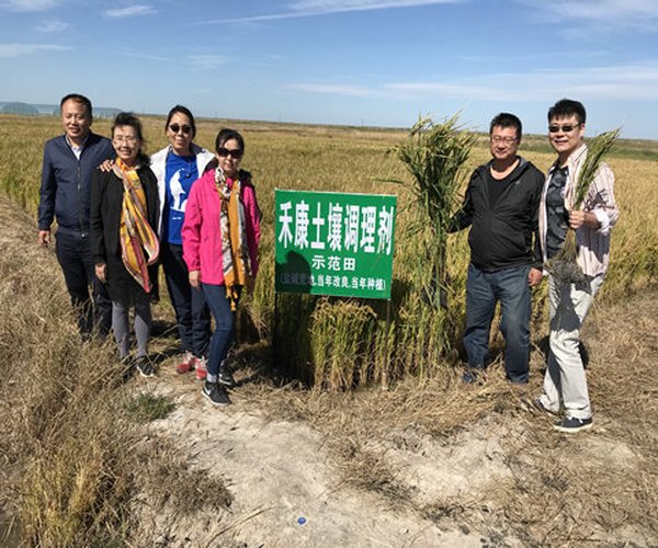 盐碱地改良技术应用-2018年，吉林省镇赉县苏打盐碱荒地改良示范