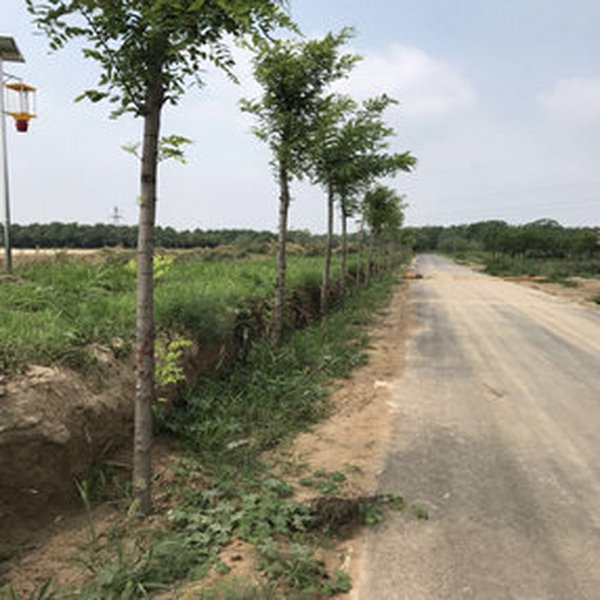 2004年3月，与东营市市政局、东营市公路局养护科达成盐碱土壤改良剂供货协议