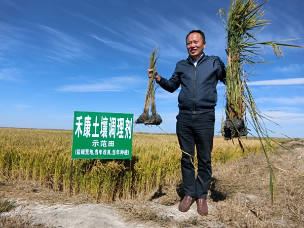 盐碱地改良技术成功的评价标准是什么？