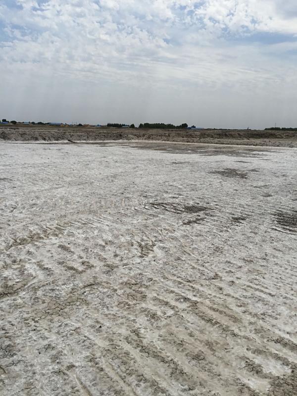 盐碱土壤改良方法和措施很多，用户怎么选择？