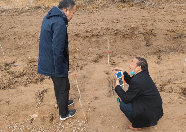 新疆柯坪阿恰镇，连续两年植树都没有成功。目前使用禾康土壤调理剂已经将树穴周围的含盐量由8-12降到0.8-1.8，正常管理，树苗绝大部分可以成活！