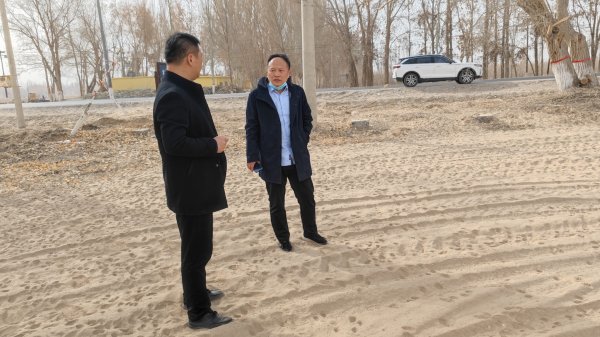 新疆阿拉尔十团低产棉田改良后计划栽植金银花。