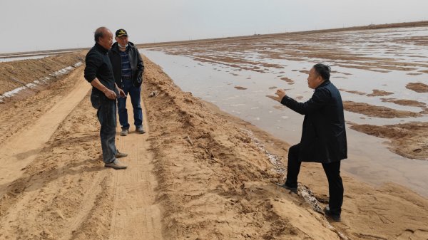 新疆阿拉尔市开荒地，连续灌四次水，大部分地方盐分降到可以出苗的程度，但盐分依然偏高，防止雨后死苗及僵苗。