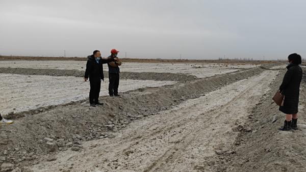 重度盐碱地要采用大水漫灌配合使用禾康土壤调理剂来迅速降盐碱，将重度盐碱地改良为中度盐碱地，再采用干播湿出配合滴施禾康土壤调理剂来排盐出苗。仅大水漫灌后就直接种植棉花风险极高。