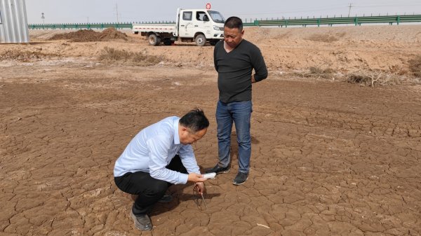 盐碱荒地改良、盐碱地绿化我们都有成熟的盐碱改良方案。