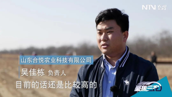 亩产400斤→800斤？盐碱地的“春天”来了！