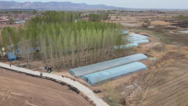 朔州：抢抓农时不负春 水稻育苗按下“快进键”