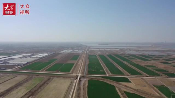 盐碱地改良引发的绿色变革