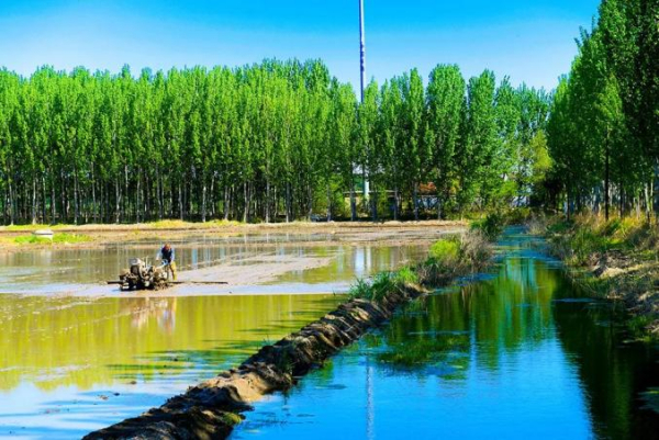 滨海农业研究所：突破盐碱地改土降盐关键技术