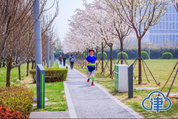 我们的新时代 | 从盐碱滩到网红地，他见证着“绿色禁区”的蝶变之路