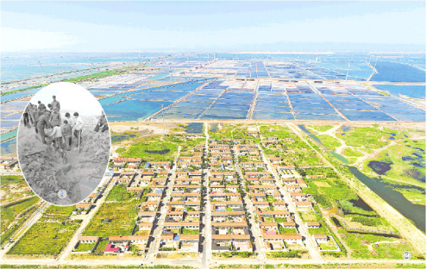 跳出盐碱地做起“海”文章