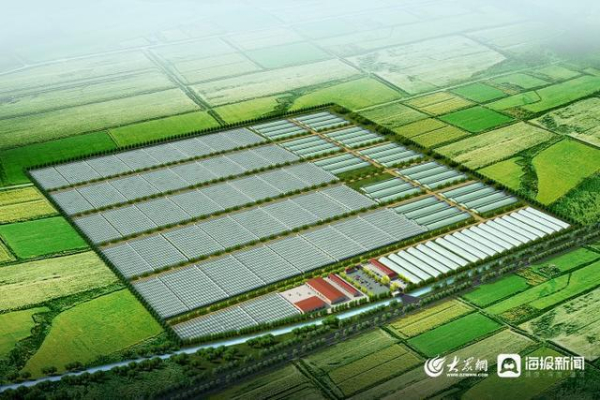 盐碱地的华丽“变身”为产业强区“添翼”