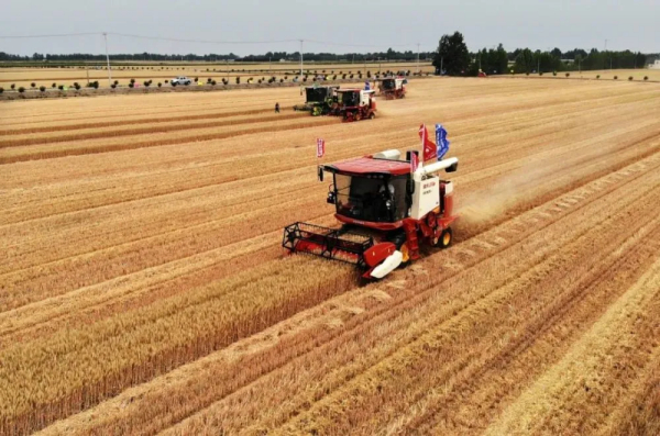 喜讯！这些地方的产量创新高！