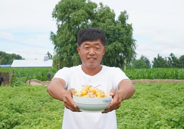 镇赉县东屏镇白音河村：盐碱地里结硕果