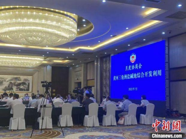 山东聚焦黄河三角洲盐碱地综合开发利用 推动“后备粮仓”焕绿生金