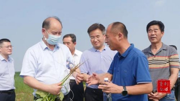 农业农村部国际合作司调研组来垦利区调研盐碱地综合开发利用工作