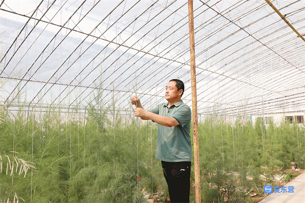 新时代美德东营丨孙吉锋：奏响盐碱地上的绿色华章