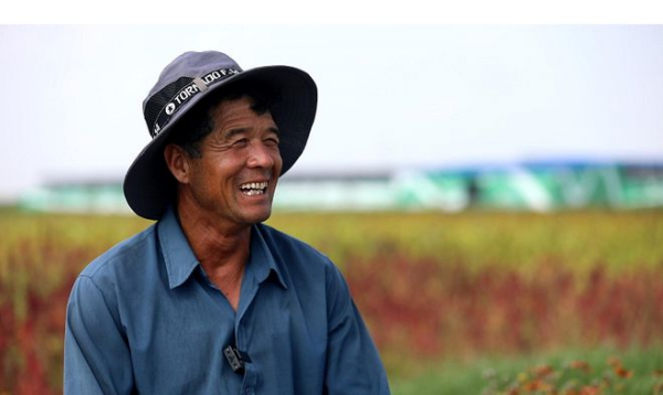 黄三角农高区：盐碱地变成新绿洲