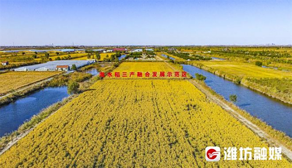 盐碱滩涂变生金沃野——写在盐碱地综合利用国际大会召开之际