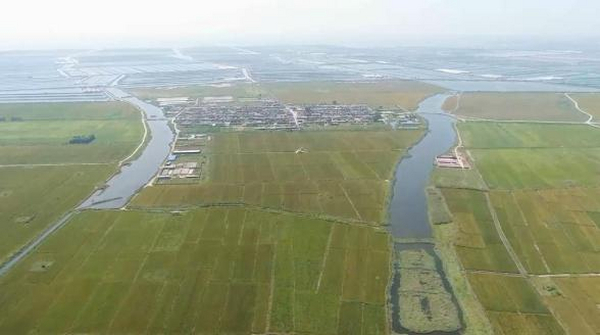 乐亭：盐碱地改造迎丰收