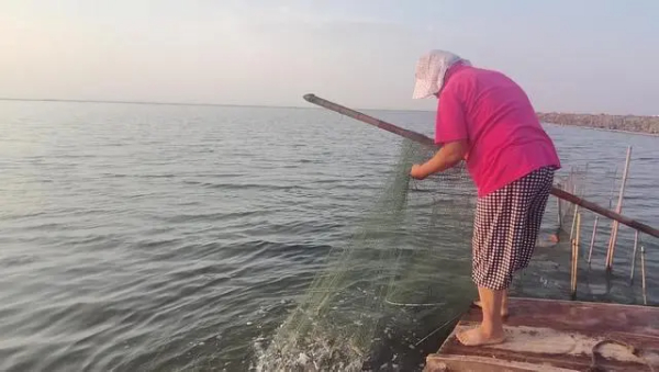 依托盐碱滩涂走上乡村振兴路