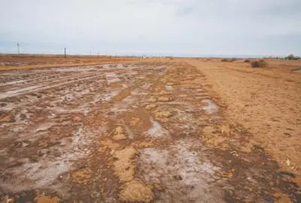 临泽县完成盐碱地普查外业调查采样工作