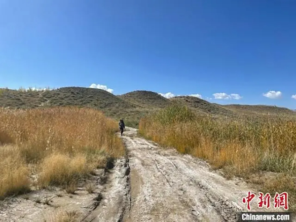 青海柴达木盆地正式启动盐碱地普查