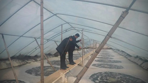 东营市河口区：盐碱滩涂谋发展 村民的日子逐年向好