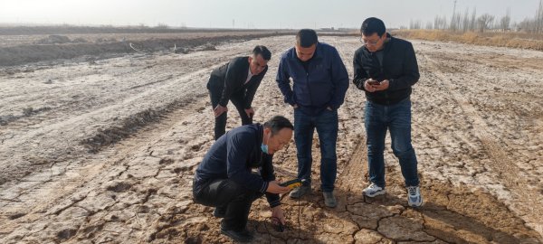 盐碱荒地改良、盐碱地绿化我们都有成熟的盐碱改良方案。