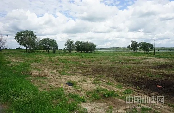 “沉睡”的盐碱地利用进入快车道