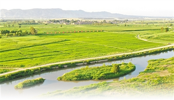 农牧融合发展 盐碱地变了样（美丽中国·关注盐碱地治理④）