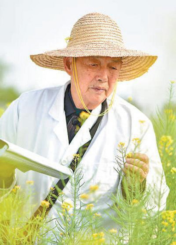 让盐碱地上开出油菜花