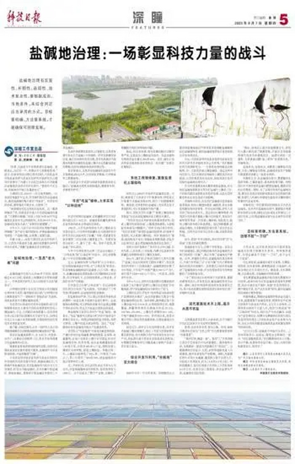 盐碱地治理：一场彰显科技力量的战斗