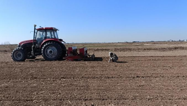 内蒙古突泉县：盐碱地变身“米粮仓” 农业增产又增效