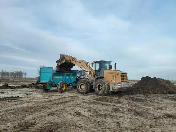 通辽市科左中旗：唤醒“沉睡”土地 让盐碱地变身“新粮仓”