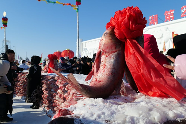 吉林：西部盐碱滩变“冬捕经济带”