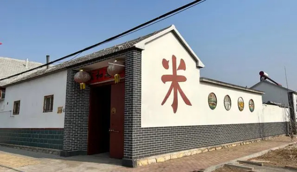 黄河口飘稻米香 盐碱地里粮满仓