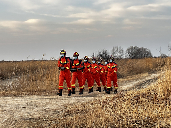 东营消防: 扎根盐碱、守地护林的“黄河口忠诚卫士”