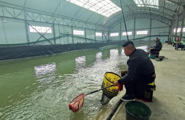 盐碱滩变身富民“聚宝盆”