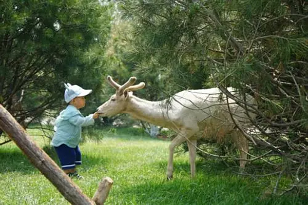 亿利资源集团创新盐碱地修复 打造绿色生态新地标