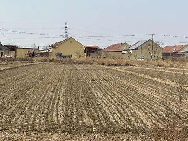 过年我去了趟盐碱地，领悟了好几个道理