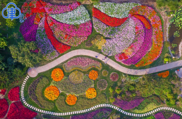 天津市重盐碱地生态治理技术创新中心正式进入新的实施阶段