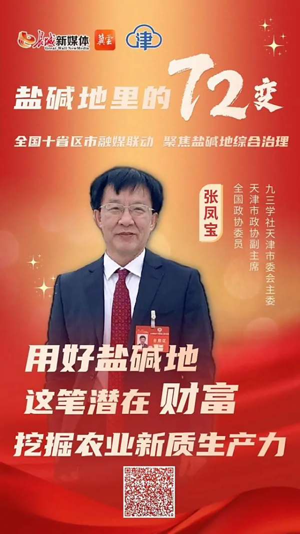 盐碱地出奇迹丨张凤宝：用好盐碱地 挖掘农业新质生产力