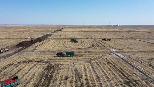 有信心亩产突破500公斤！“吉林处方”盐碱地上早发力