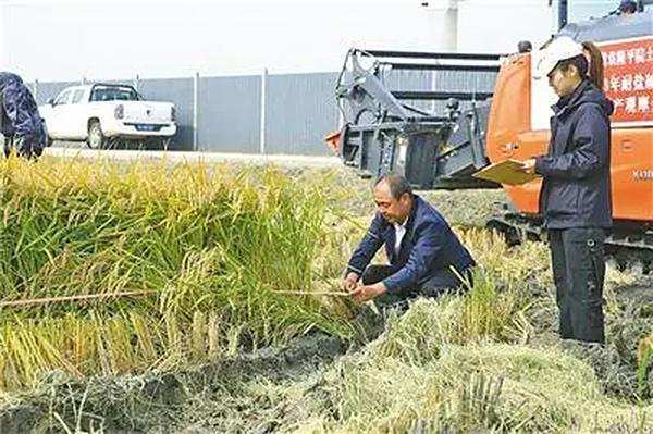 全国人大代表，内蒙古自治区 兴安盟委副书记、盟长苏和：粮经饲统筹 实现盐碱地综合高效利用