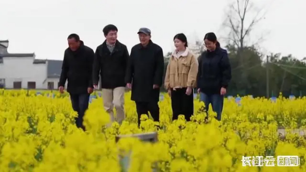 深耕60余载，这位院士让盐碱地里开满金色油菜花