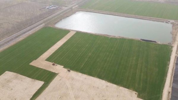 东营： 60余种耐盐碱植物成功“安家” 打造盐碱地里的“绿洲”