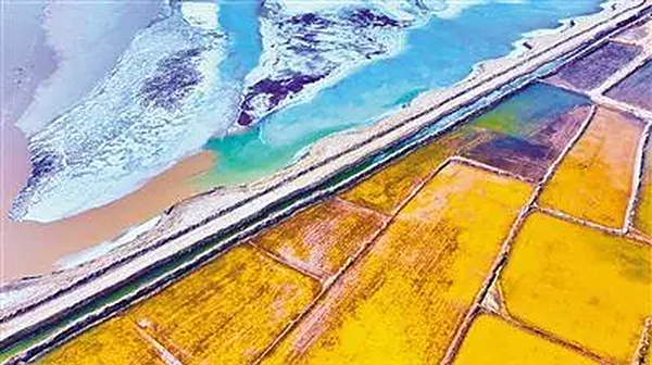 盐碱滩“变身”水产基地